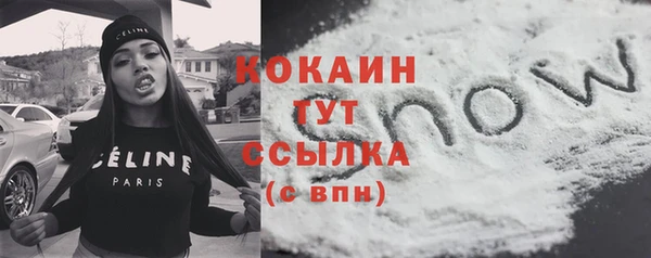 винт Краснослободск