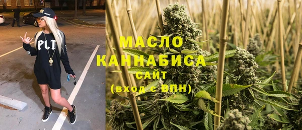 гидра Кодинск