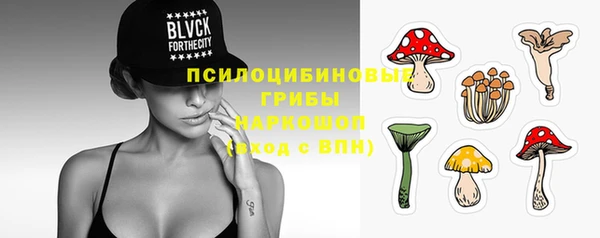 винт Краснослободск