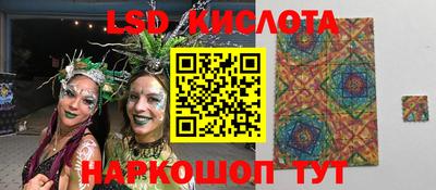 мяу мяу мука Аргун