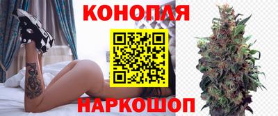дмт Гусев
