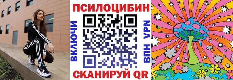 Псилоцибиновые грибы Cubensis наркота Малгобек