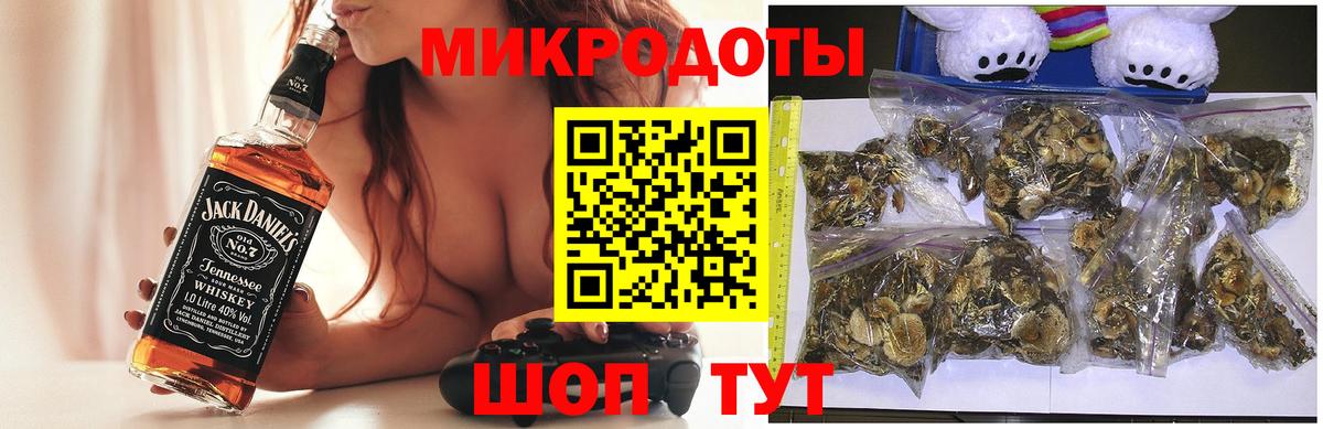 Галлюциногенные грибы Cubensis  купить  цена  Малгобек 