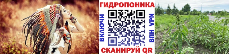 Марихуана планчик  kraken вход  Малгобек 