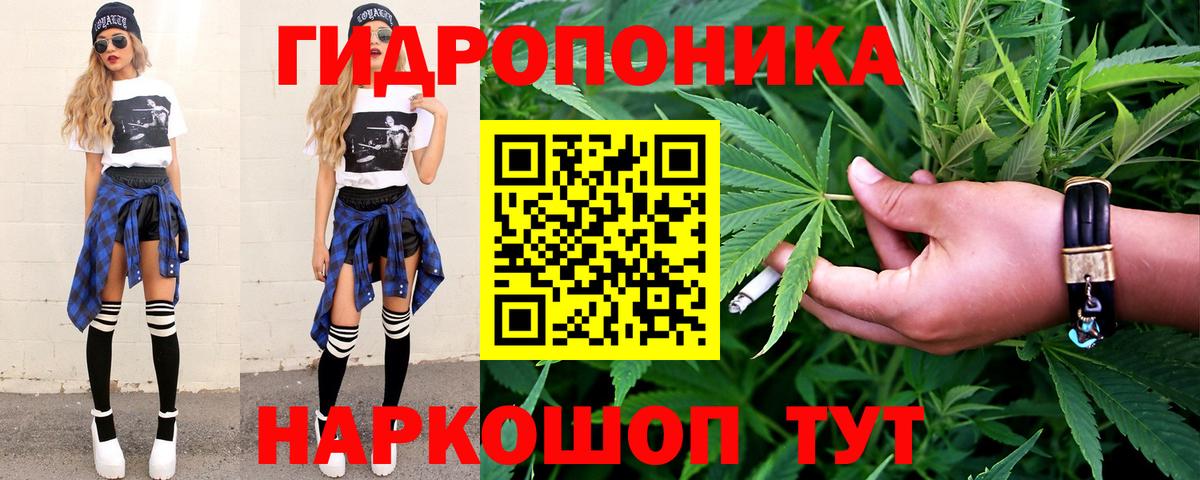 Канабис сатива Малгобек